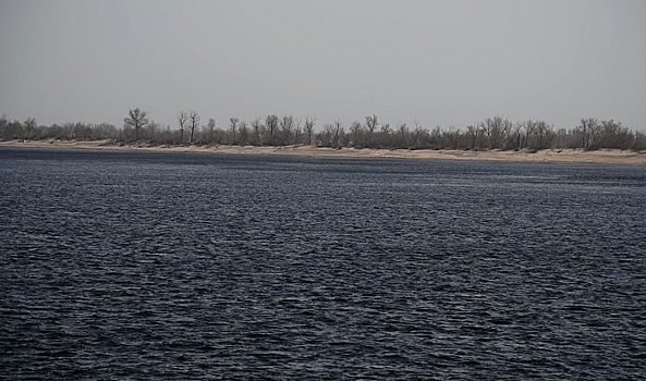 В Госдуме представили проект по оздоровлению Волги