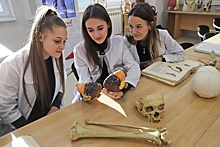 День медицинской сестры: как в московских школах готовят будущих медиков
