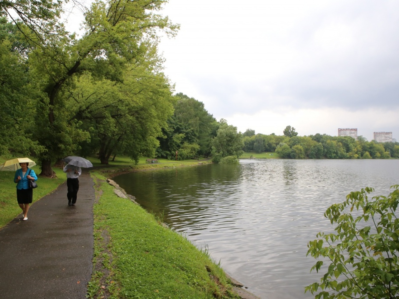 Пруды в люблино. Пруды в люблино. Люблинский сквер, москва. Пруды в люблино. Люблинский парк озеро.