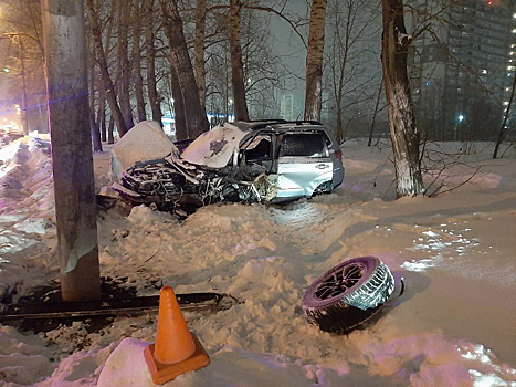 Водитель иномарки погиб при столкновении с деревом в Новосибирске