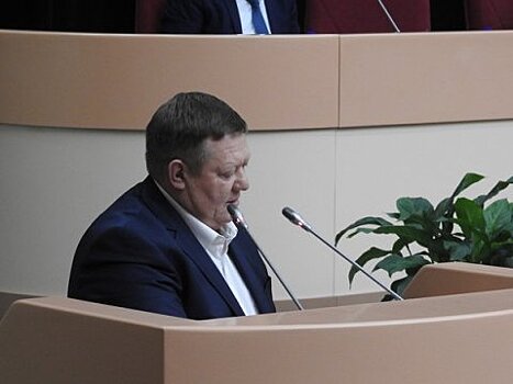 Панков: Необдуманные высказывания депутатов очень вредят области