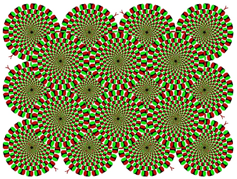 «Выставили психом»: популярный в Сети тест с иллюзиями оказался фейком