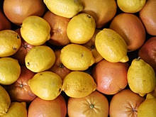 500 тонн апельсинов забраковали в порту Новороссийска из-за мух