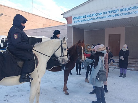 В Новосибирске выделили 1 млн рублей на смену подков полицейским лошадям