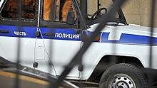 В Иркутске арестовали похитителя девятилетней девочки
