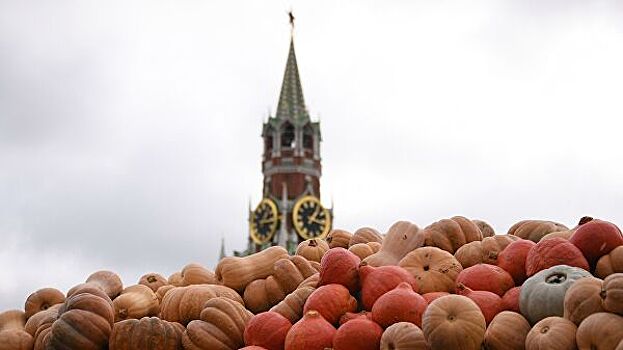 Ростовская область покажет экспортные возможности на "Золотой осени-2019"