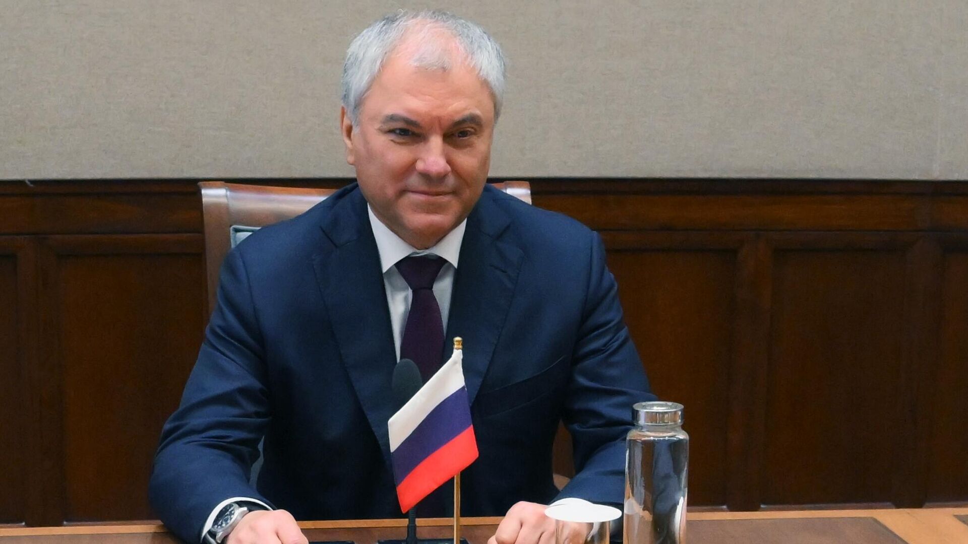 Вячеслав Володин выступил против введения налога на бездетность