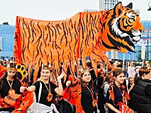 На Дальнем Востоке с размахом отметили День тигра