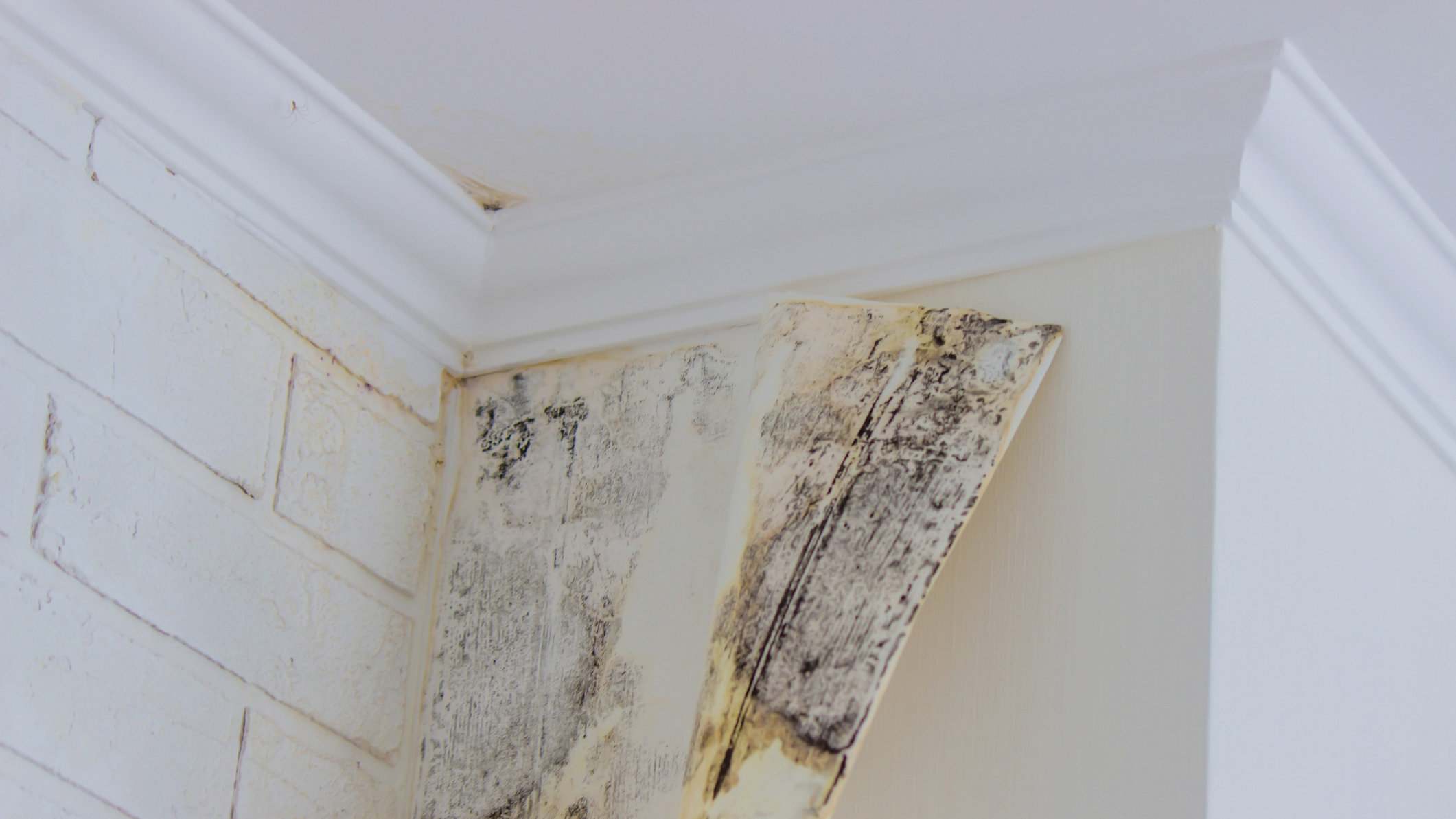 Почему простое утепление стен может оставить вас без дома и квартиры