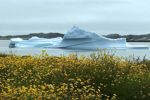 �������&nbsp; ������ ������ �������� ������ ��������