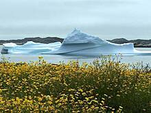 Премьер Канады заявил об угрозе России в Арктике