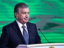 Мирзиеев побеждает на выборах президента Узбекистана с 87,05% голосов