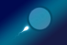 Ученые поспорили о количестве сперматозоидов в мире