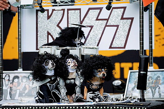 В "Олимпийском" выступит группа Kiss