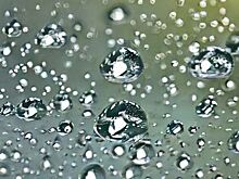 Датчик Якобсона полностью изменит представление о поливе растений