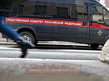 Житель Кузбасса решил похищением отучить девушку от мыслей о суициде