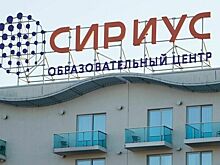 Использование наименований органов власти «Сириуса» в названии фирм хотят запретить