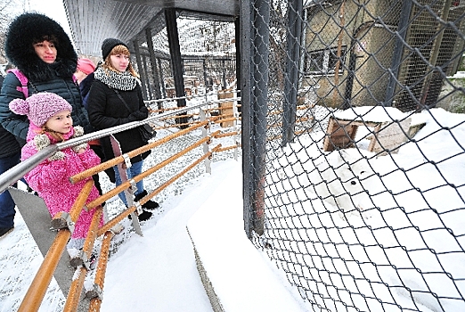 Экскурсии, квесты и новогодний спектакль подготовил Московский зоопарк к праздникам