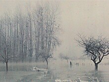 Международная выставка дагерротипа откроется вскоре в ГМИИ им. Пушкина