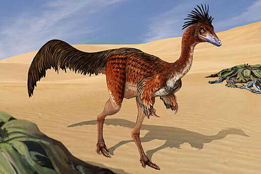 PLOS One: динозавры Alvarezsauridae имели полые кости, подобные птичьим