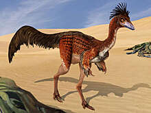 PLOS One: динозавры Alvarezsauridae имели полые кости, подобные птичьим