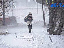 Приморье встретит конец ноября снегом и сильным северным ветром