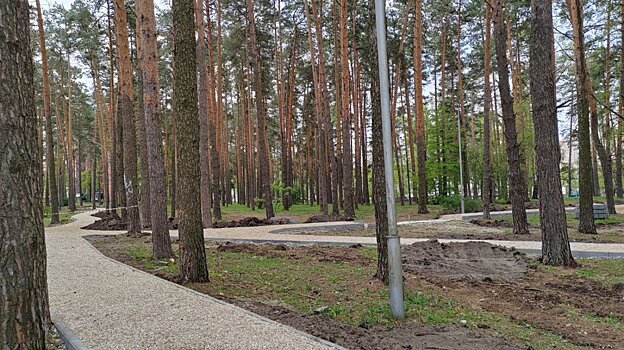 В Заречном в сквере Демакова хотят установить видеокамеры