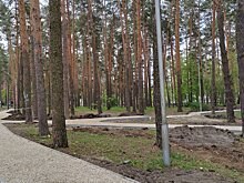 В Заречном в сквере Демакова хотят установить видеокамеры
