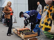 За несанкционированную торговлю на территории района Западное Дегунино с нарушителей взыскали больше 27 тысяч рублей