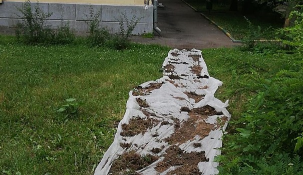 На улице Маршала Новикова восстановили газон