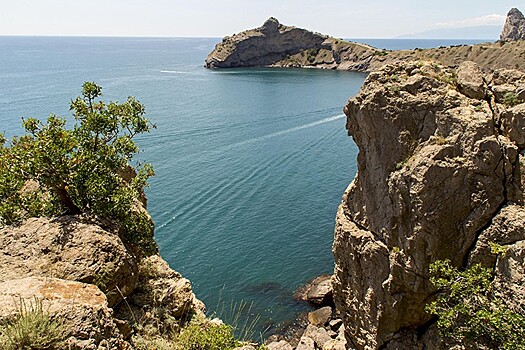 Выставка «Крымская весна» открылась в усадьбе Мураново