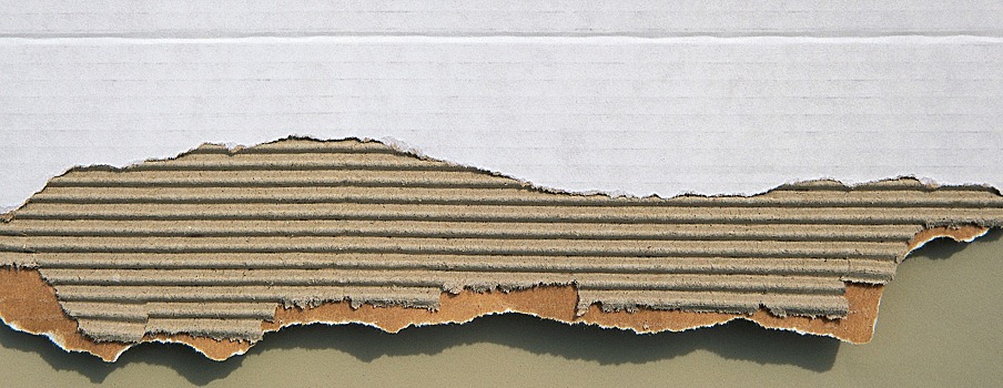 Завод по производству гофрокартона за 430 млн рублей запустили в Подмосковье