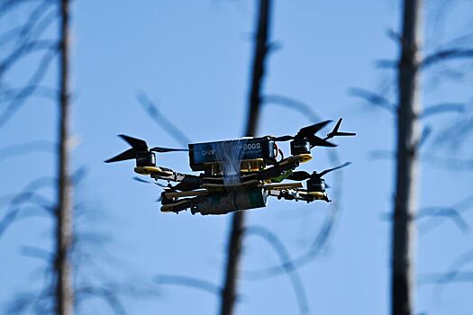 Над Белгородской областью сбили шесть дронов ВСУ