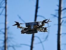 Над Белгородской областью сбили шесть дронов ВСУ