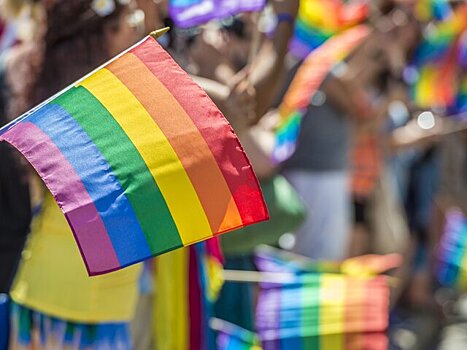 В СПЧ оценили идею об уголовной ответственности за пропаганду ЛГБТ