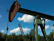 У России есть достойный ответ на нефтяные вызовы, считает эксперт