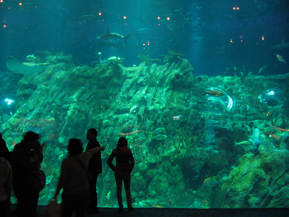 Парк развлечений Ocean Park, Гонконг, Азия