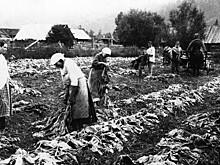 Как на Руси возникли отчества