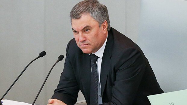 Володин призвал осуждающих спецоперацию на Украине бюджетников уволиться