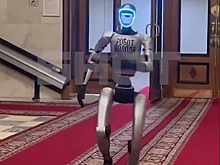 В Госдуме появился китайский робот-грузчик с русским именем Володя