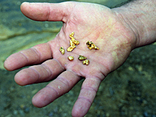 Незаконная добыча золота на 100 миллионов рублей пресечена в Амурской области