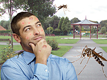 Депрессия у новосибирских комаров летом 2018