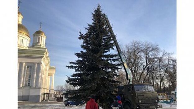 Эксперты назвали города России с самыми высокими новогодними ёлками