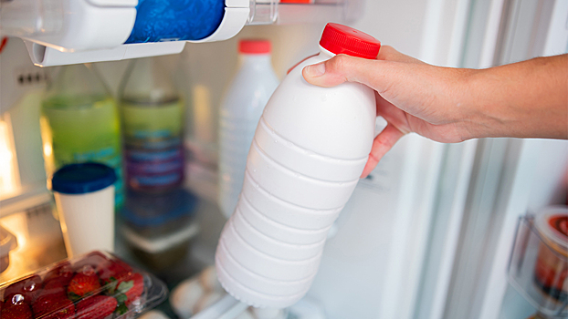 Как замораживать молочку, чтобы не потерять пользу