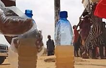 Пользователи пришли в ужас от способа очистки грязной воды в Сомали
