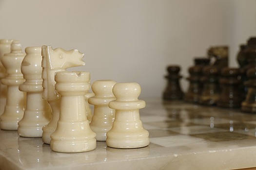 Названы сильнейшие по решению шахматных композиций из района Печатники
