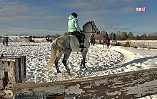 В Подмосковье конному клубу пригрозили выселением за долги