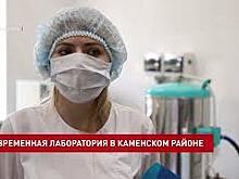 В Каменском районе завершился ремонт ветлаборатории, входящей в состав районного филиала Ростовской областной станции по борьбе с болезнями животных
