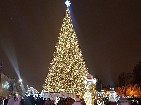Новогодние елки начнут убирать в Нижнем Новгороде 21 января