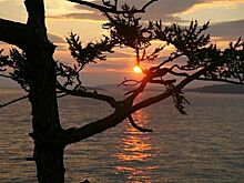 Заповедники защитят от новых строек